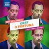 Carmina Burana: O Fortuna - Slovak Philharmonic Chorus, Slovak Radio Symphony Orchestra & Stephen Gunzenhauser
