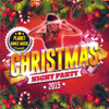 Christmas Night Party 2015 - Various Artists