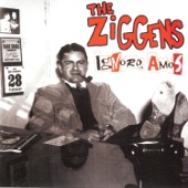 The Ziggens - My Paycheck Bounced