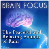 The Peaceful & Relaxing Sounds of Rain - Brain Focus artwork