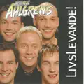 Ingen Är Så Underbar Som Du