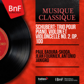 Schubert: Trio pour piano, violon et violoncelle No. 2, Op. 100 (Mono Version) - Paul Badura-Skoda, Jean Fournier & Antonio Janigro
