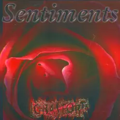 Sentiments - Gra Fort