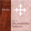 De profetiske bøkene: Bibelen 4 - N. N.
