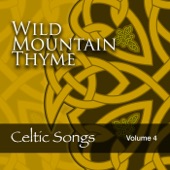 Wild Mountain Thyme: Celtic Songs, Vol. 4 artwork