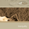 Sounds of Spa: Tranquility - Various Artists