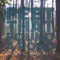 A Little Hope - Young Novalis lyrics