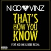 Nico & Vinz - feat. Kid Ink & Bebe Rexha - That's How You Know