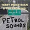 Chet Faker Driving Song Music - Terry Pedestrian & the Crossing lyrics