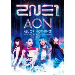 2014 2NE1 WORLD TOUR ~ALL OR NOTHING~ in JAPAN (Live) - 2NE1