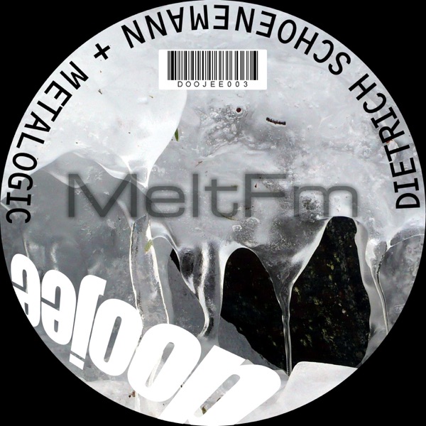 Meltfm - Single