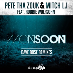 Monsoon (feat. Robbie Wulfsohn) [Dave Rose Remix]
