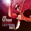 Joe Satriani - I Just Wanna Rock (Live at The Grand Rex Theatre, Paris, France - May 2008)