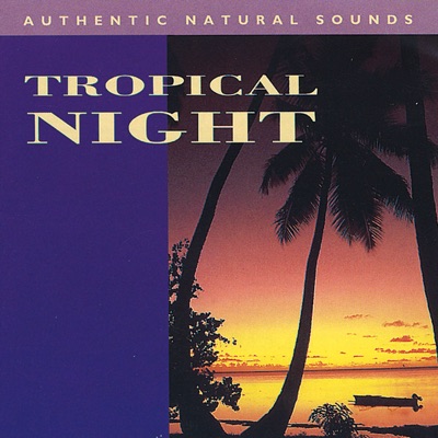 Night Song-thumbnail