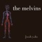 Inner Ear Rupture - Melvins Lite lyrics