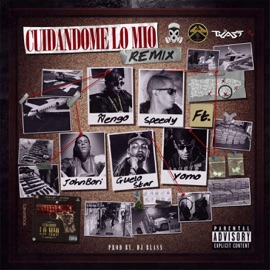 Cuidandome Lo Mio (Remix) [feat. Guelo Star, Speedy, Yomo & John Bori] Nengo