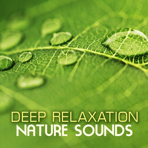 Deep Relaxation Nature Sounds: Switch Off with the Soothing Sound of New Age Music and Natural Noises for the Best Relaxation
