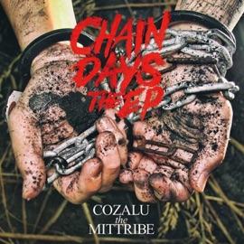 Y.T.Y.K (feat. NORIKIYO) COZALU the MITTRIBE