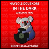 In the Dark - Single - DoubKore & Naylo