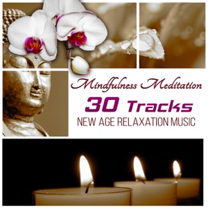 Mindfulness Meditation - 30 Tracks New Age Relaxation Music, Healing Music Therapy, Massage & Nature Sounds, Deep Sleep, Yoga, Calm Shades Piano Music