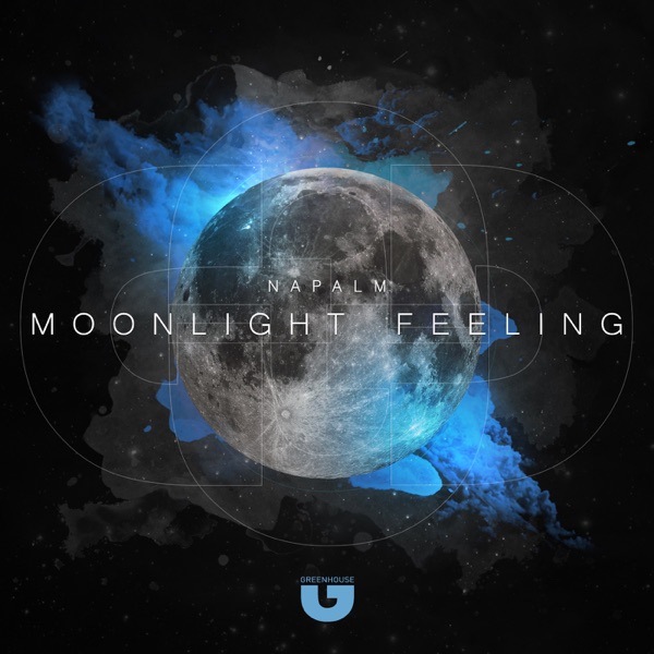 Moonlight Feeling - Single