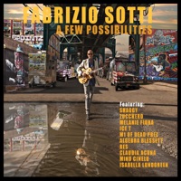 A Few Possibilities - Fabrizio Sotti