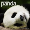 Panda Volume One (Compiled by Sensorica), 2015