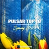 Pulsar Top 10: Spring 2015