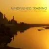 Relaxing Mindfulness Meditation Relaxation Maestro - Brain Stimulation