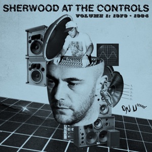 Sherwood At the Controls: Volume 1 1979 - 1984