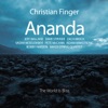 Christian Vadim African Skies, Linear Lives (feat. Vadim Neselovskyi, Adam Armstrong, Pete McCann & Zach Brock) Ananda