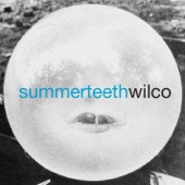 Summerteeth artwork