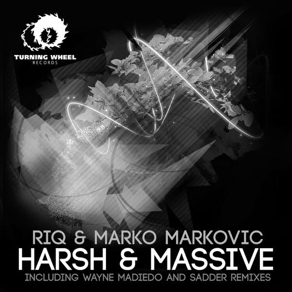 Harsh & Massive - Single