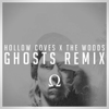 The Woods (Ghosts Remix) - Hollow Coves