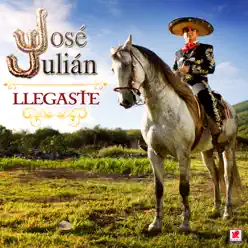 Llegaste - Jose Julian