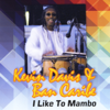 I Like to Mambo - Kevin Davis and Bancaribe & Bancaribe