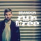 Run Free - Brandon Bauer lyrics