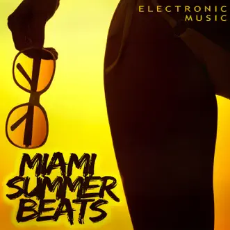 Miami Summer Beats - Electronic Music by Various Artists album reviews, ratings, credits