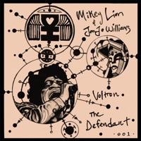 Voltron / Defendant - Single - Mikey Lion & Jonjo Williams