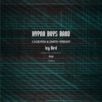 Icy Bird - Single - Dmitry Atrideep & Cassiopeia