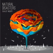 Natural Disasters - EP artwork