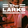 The Larks Live in Leicester