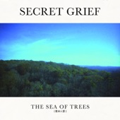 Secret Grief - Historical Insignificance