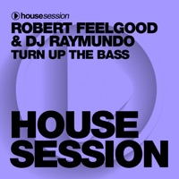 Turn up the Bass - Single - Robert Feelgood & DJ Raymundo