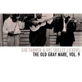Gid Tanner & His Skillet Lickers: The Old Gray Mare, Vol. 9