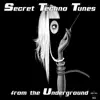 X-Treme Hypomania - Temple of the Lords (Klangfehler Remix)