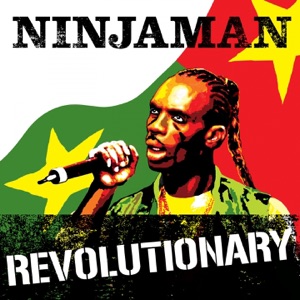 Revolutionary - Single