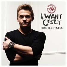 I Want Crazy artwork