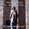 Jesus Transforms: The Heart of Teresa of Avila (Unabridged) - Sr. Vilma Seelaus, O.C.D.