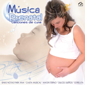 Música Prenatal - Canciones De Cuna